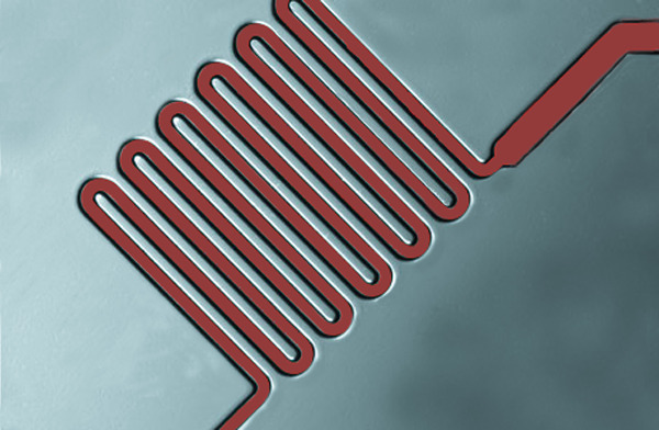 Microfluidic Chip